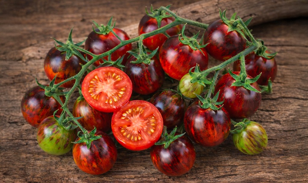 Cherrytomaat Black Strawberry